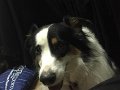 3209_HailStorm_3-2016 (17)